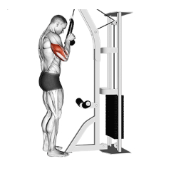 Rope Pushdown
